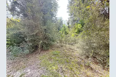 6608 Highway 20, Youngstown, FL 32466 - Photo 25
