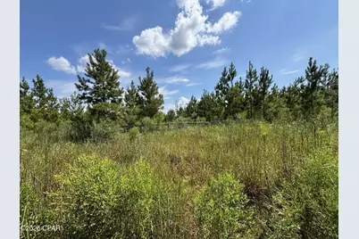 Xxx SE Davis Peacock Road #Lot 51, Blountstown, FL 32424 - Photo 3