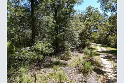 3126 Magnolia Drive, Chipley, FL 32428 - Photo 9