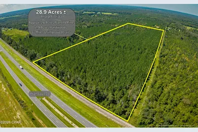 Tbd Hudson Road, Alford, FL 32420 - Photo 1