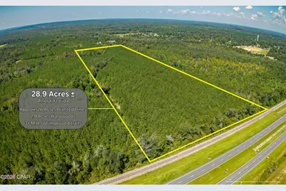 Tbd Hudson Road, Alford, FL 32420 - Photo 3
