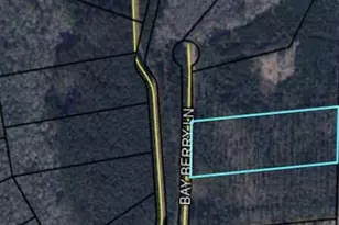 Tbd Bay Berry Ln, Westville, FL 32464 - Photo 1