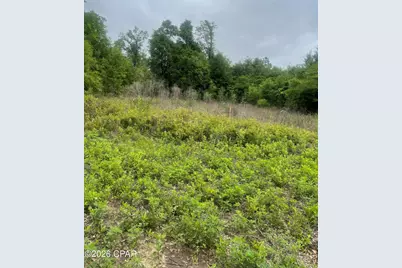 0 Blue Springs Road, Greenwood, FL 32443 - Photo 11
