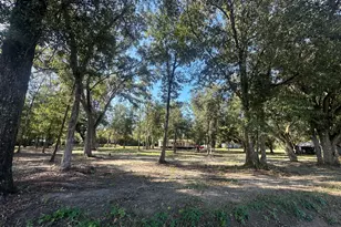 3799 Sweet Pond Rd, Greenwood, FL 32443 - Photo 11