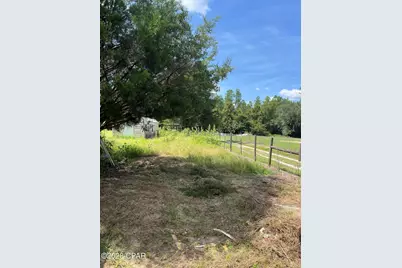 4959 Basswood Road, Bascom, FL 32423 - Photo 45