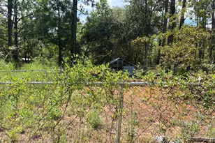 3989 Dunford Cir, Chipley, FL 32428 - Photo 13