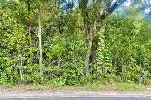 0 Barnes St, Marianna, FL 32448 - Photo 1