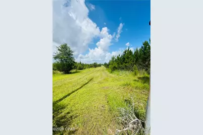 00 Beechum Lane, Marianna, FL 32448 - Photo 5