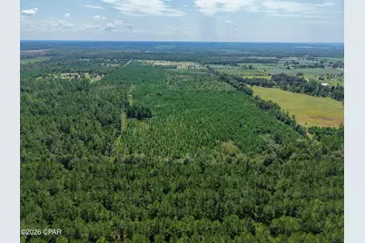 00 Beechum Lane, Marianna, FL 32448 - Photo 9