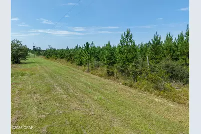 00 Beechum Lane, Marianna, FL 32448 - Photo 1