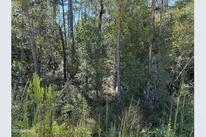 0 Abraham Street, Alford, FL 32420 - Photo 3