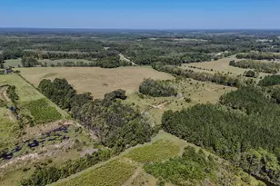 1409 Hwy 177A, Bonifay, FL 32425 - Photo 55