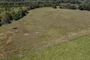 1409 Hwy 177A, Bonifay, FL 32425 - Photo 67