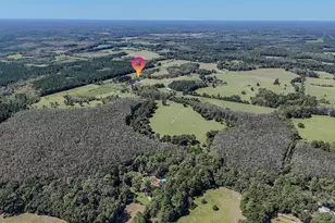 1409 Hwy 177A, Bonifay, FL 32425 - Photo 59