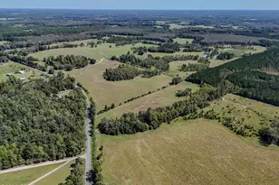 1409 Hwy 177A, Bonifay, FL 32425 - Photo 53