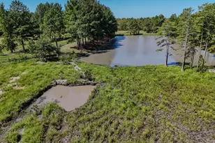 1409 Hwy 177A, Bonifay, FL 32425 - Photo 49