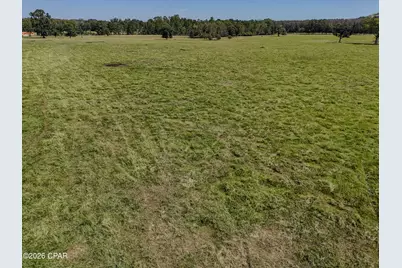 1409 Highway 177A, Bonifay, FL 32425 - Photo 75