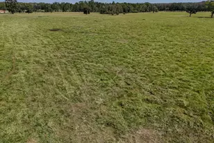 1409 Hwy 177A, Bonifay, FL 32425 - Photo 75