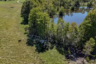 1409 Hwy 177A, Bonifay, FL 32425 - Photo 69