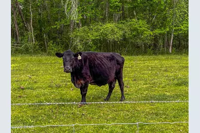1409 Highway 177A, Bonifay, FL 32425 - Photo 79