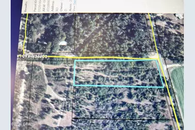 5768 Neals Landing Road, Bascom, FL 32423 - Photo 3