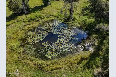 3172 Sandridge Church Road, Sneads, FL 32460 - Photo 33