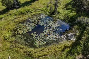 3172 Sandridge Church Rd, Sneads, FL 32460 - Photo 33
