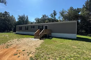 2994 Sandridge Church Rd, Sneads, FL 32460 - Photo 1