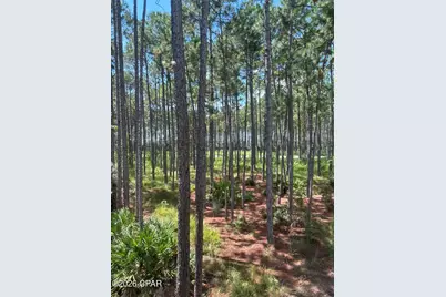6407 Sawgrass Marsh Lane, Panama City Beach, FL 32413 - Photo 41