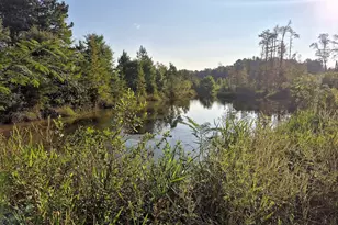 [Address not provided], Chipley, FL 32428 - Photo 3