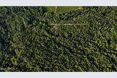 00 Pitts Rd Road, Fountain, FL 32438 - Photo 11