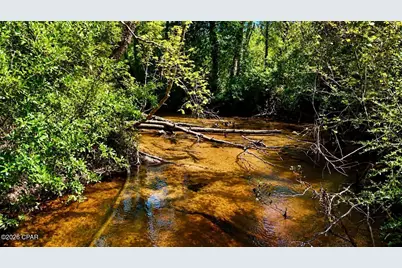 00 Pitts Rd Road, Fountain, FL 32438 - Photo 5