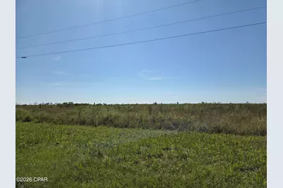 Xxx SE Oak Grove Road, Kinard, FL 32449 - Photo 5