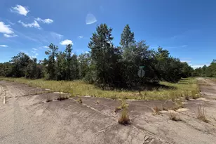Lot 27 Cascade Dr, Chipley, FL 32428 - Photo 1