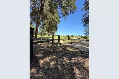 0 Dellwood Cypress Road, Grand Ridge, FL 32442 - Photo 7