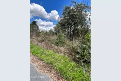 0 London Road, Cottondale, FL 32431 - Photo 3