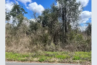0 London Road, Cottondale, FL 32431 - Photo 5