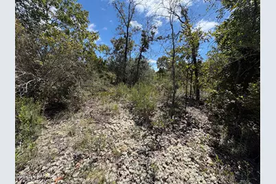 Lot 18 Hampshire Boulevard, Chipley, FL 32428 - Photo 5