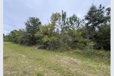 Lot 5 Maywood Street, Chipley, FL 32428 - Photo 3