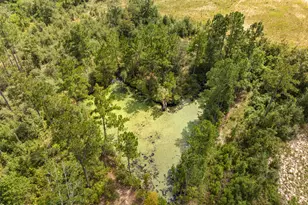 13865 Lesne Rd, Fountain, FL 32438 - Photo 33