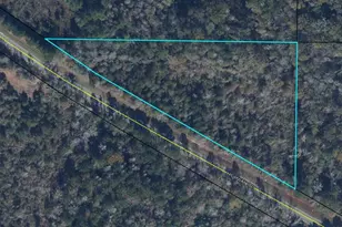 0 County Road 160, Bonifay, FL 32425 - Photo 1
