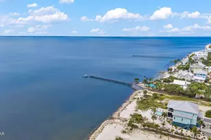 436 Windmark Way, Port Saint Joe, FL 32456 - Photo 49