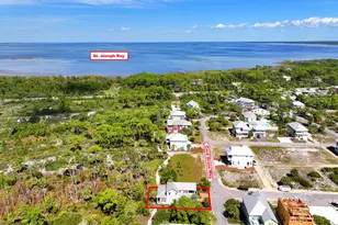309 Cord Grass Way, Port Saint Joe, FL 32456 - Photo 51