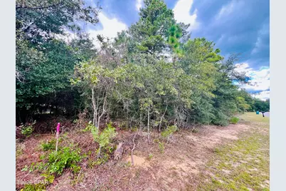 Lot 6 Oxford Avenue, Chipley, FL 32428 - Photo 5