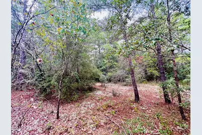 Lot 5 Oxford Avenue, Chipley, FL 32428 - Photo 3