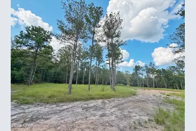 0 Old Spanish Trail, Marianna, FL 32448 - Photo 7