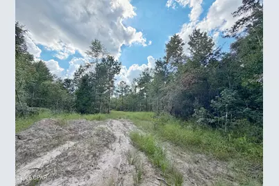 0 Old Spanish Trail, Marianna, FL 32448 - Photo 9