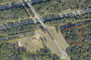 0 Douglass Crossroad, Defuniak Springs, FL 32435 - Photo 1