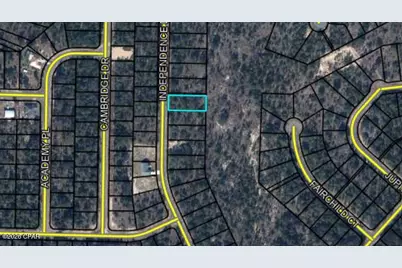 Lot 15 Independence Drive, Chipley, FL 32428 - Photo 3