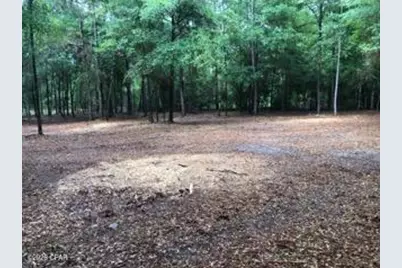 4954 Derby Drive, Chipley, FL 32428 - Photo 3